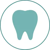 FEATURE04 CTを使用した精密な治療(インプラント、矯正治療、根管治療、口腔外科)